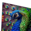Wupro Cinema® Peacock Fresnel ALR Fixed Frame Screen - Image 4