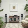 Bowers & Wilkins 606 ANNIVERSARY - Image 4