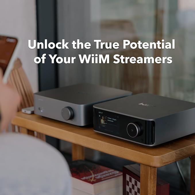 Wiim Vibelink Amp - Image 5