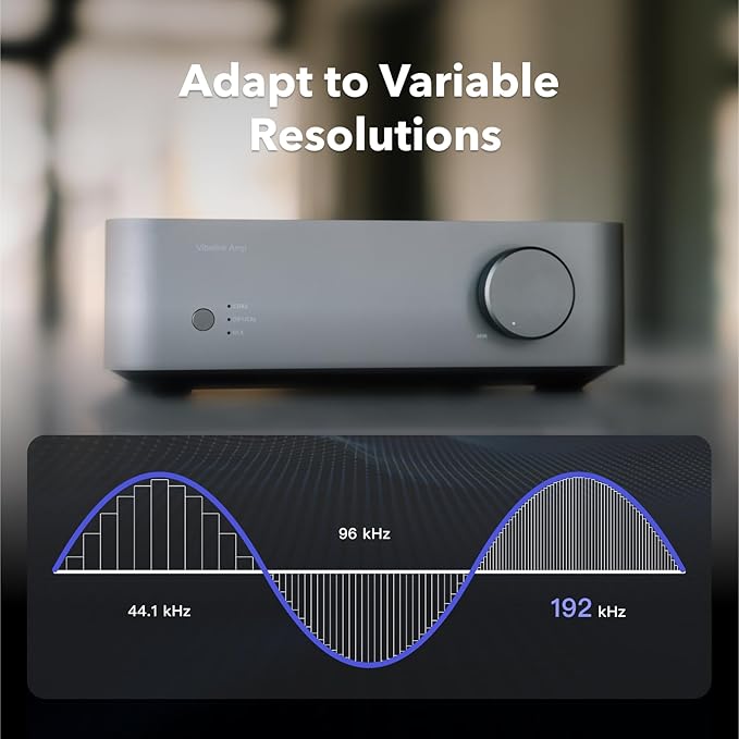 Wiim Vibelink Amp - Image 4