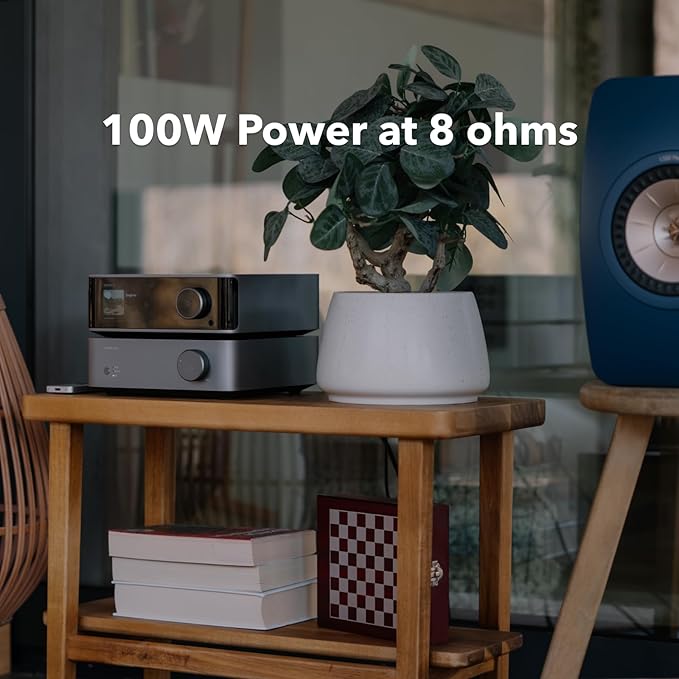 Wiim Vibelink Amp - Image 3